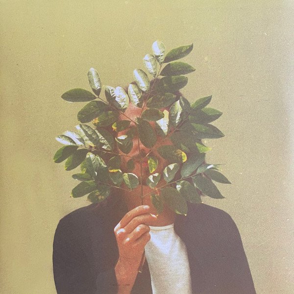 FKJ — French Kiwi Juice