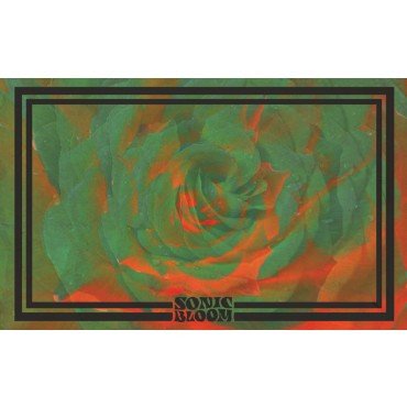 Night Beats — Sonic Bloom